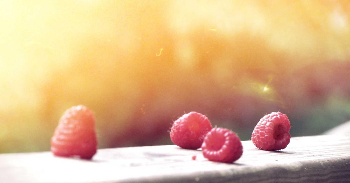 Architecting Web Applications