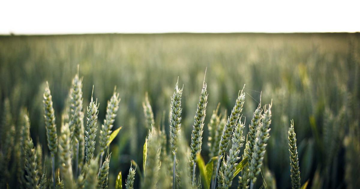 Advanced Real-time Updates