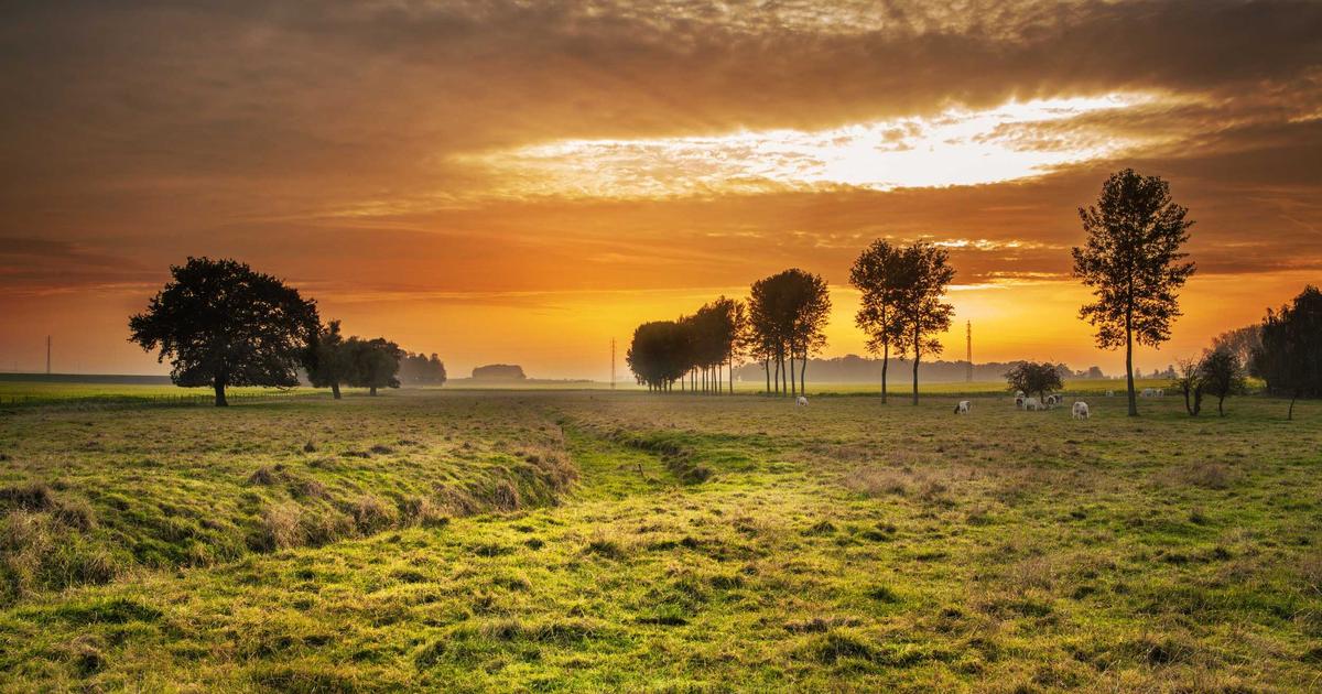 Building Type Safety