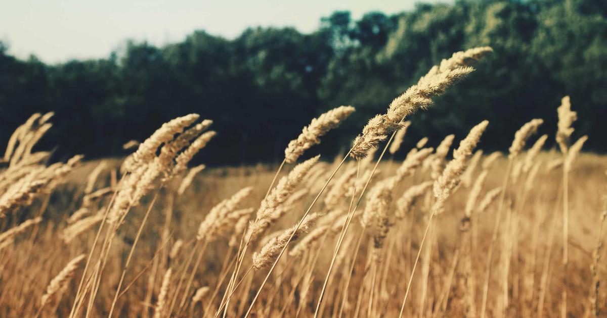 Modern Performance Budgets