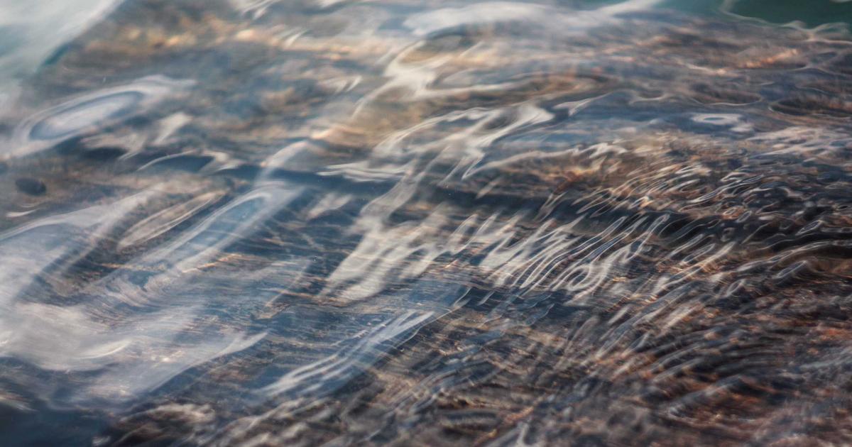 Architecting Reverse Proxies