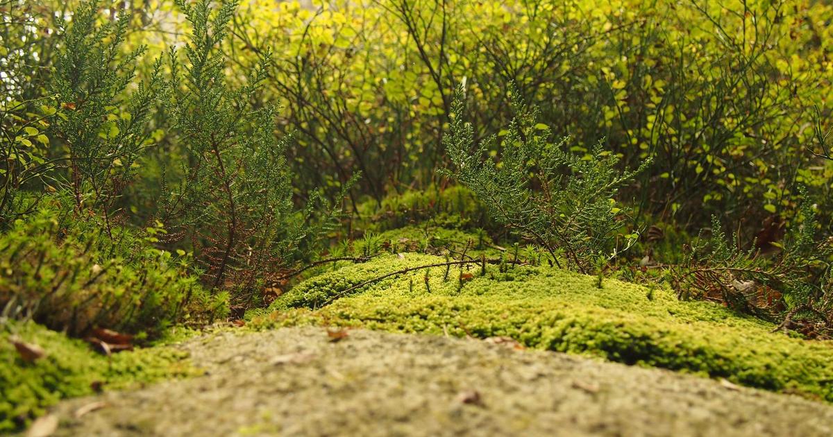 Securing Edge Functions