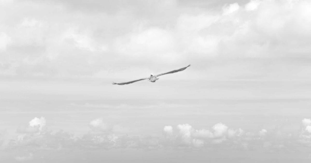 Benchmarking Type Safety