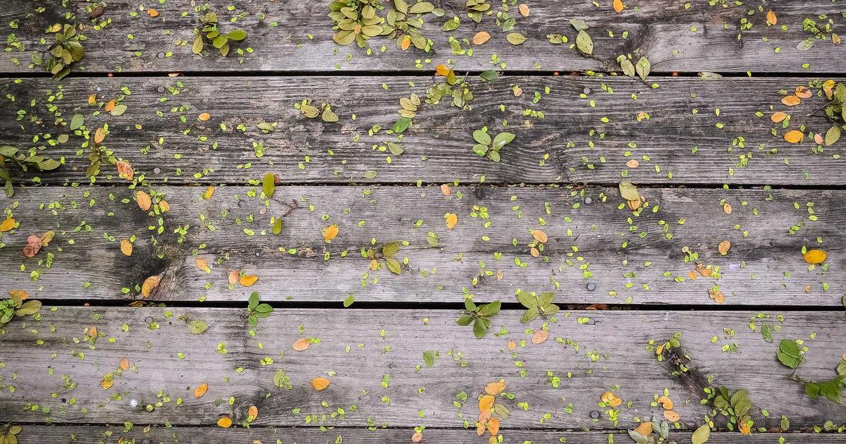 Understanding Health Checks