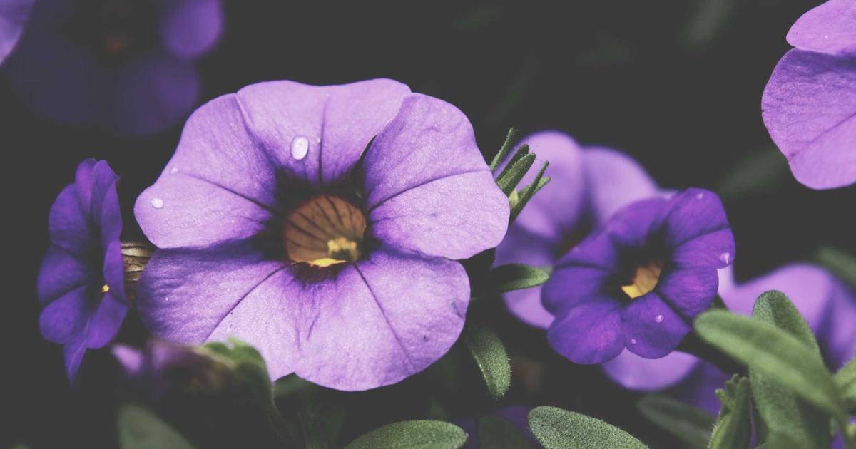 Building Real-time Updates