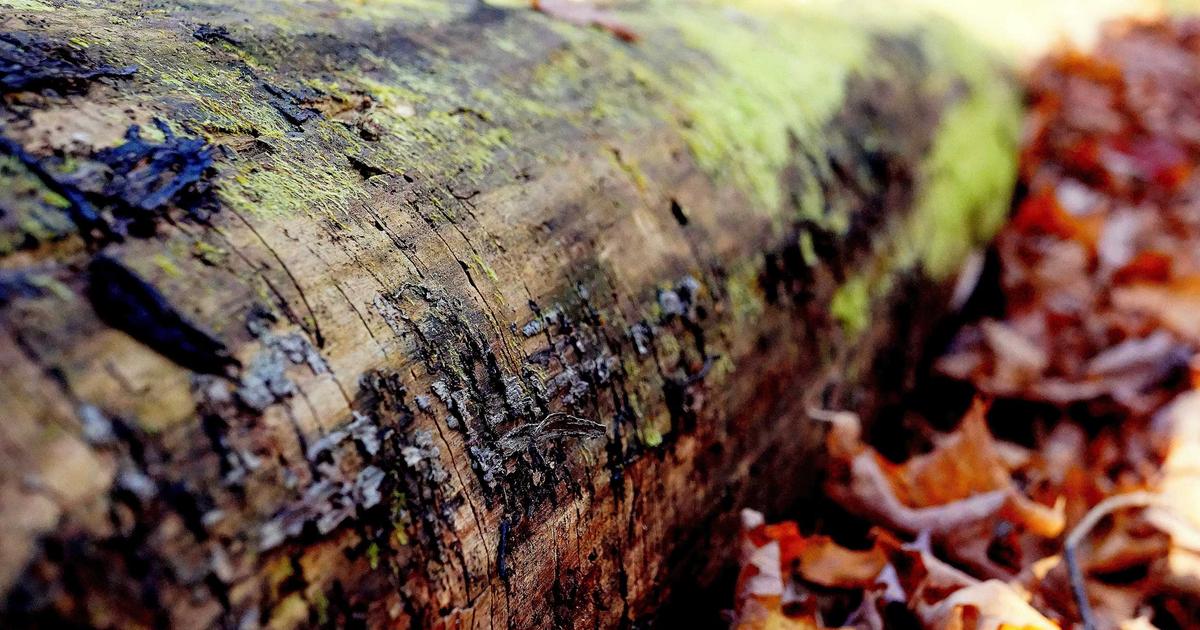 Optimizing Load Balancers