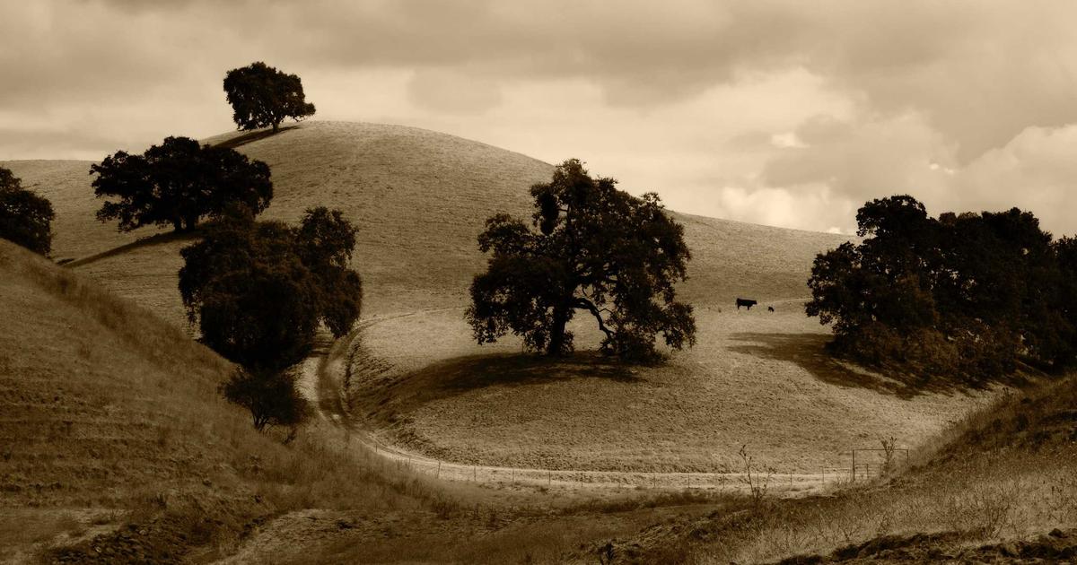 Migrating Performance Budgets