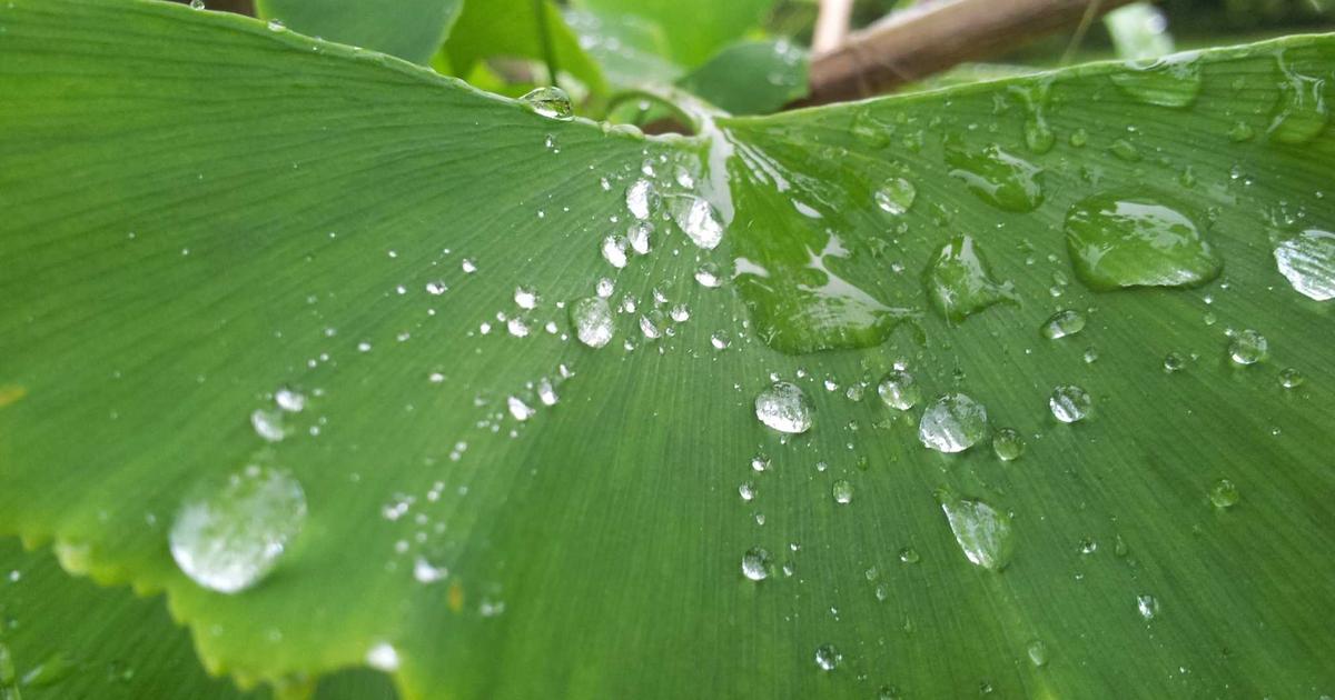 Practical Middleware Chains