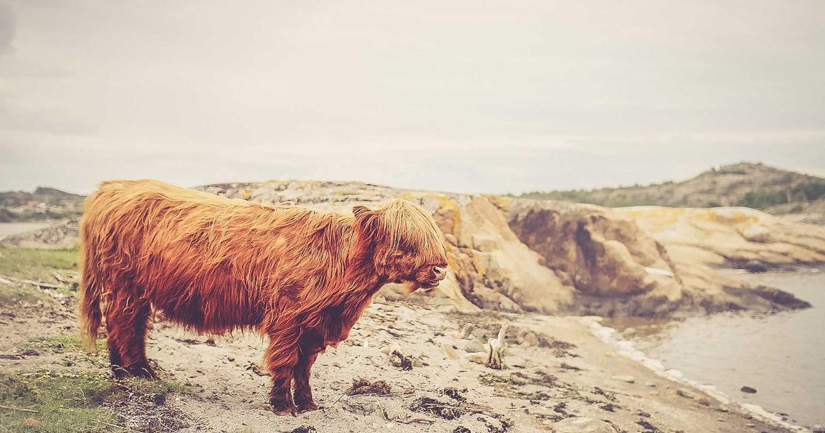 Understanding Middleware Chains