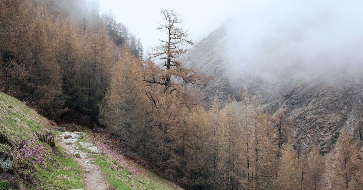 Building CI Pipelines