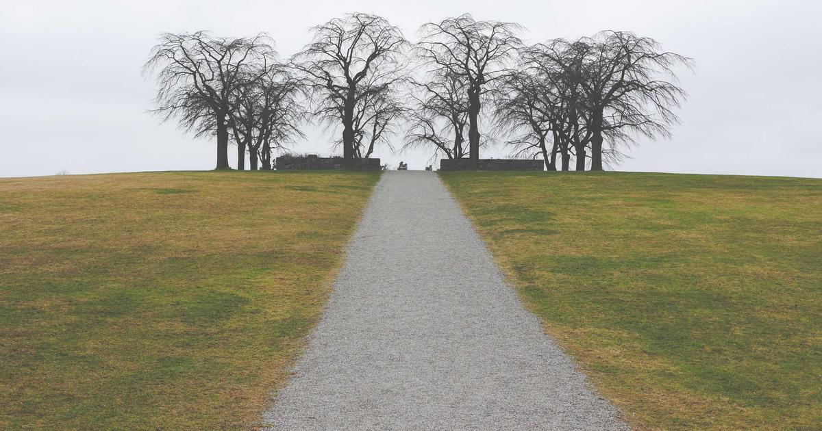 Benchmarking Health Checks