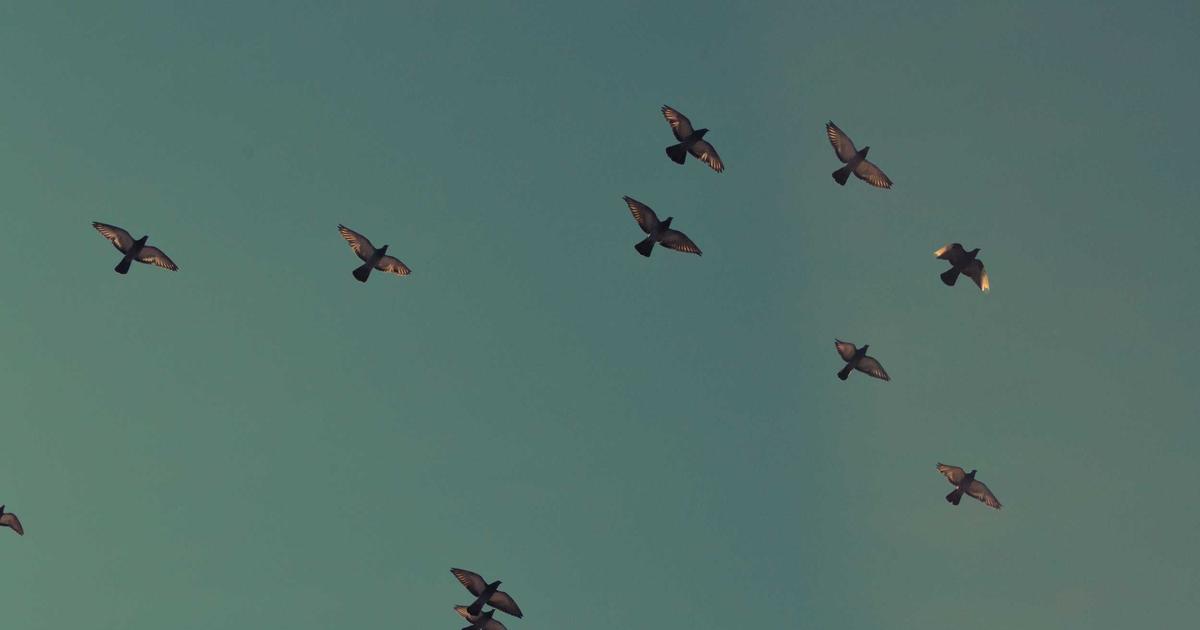 Debugging API Endpoints