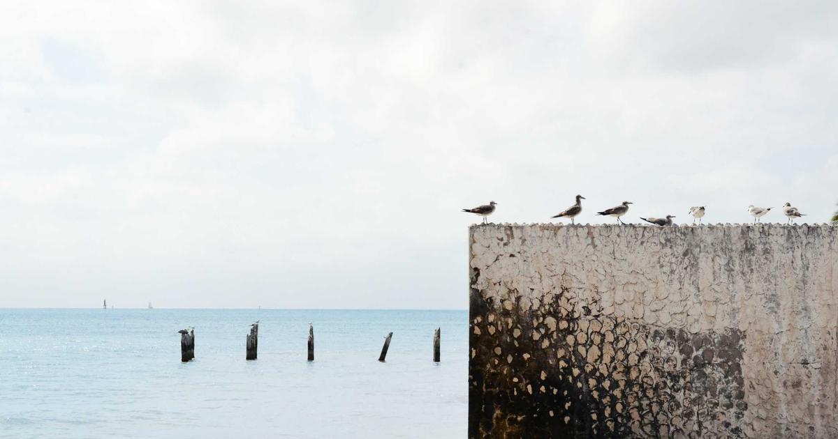 Essential Static Assets