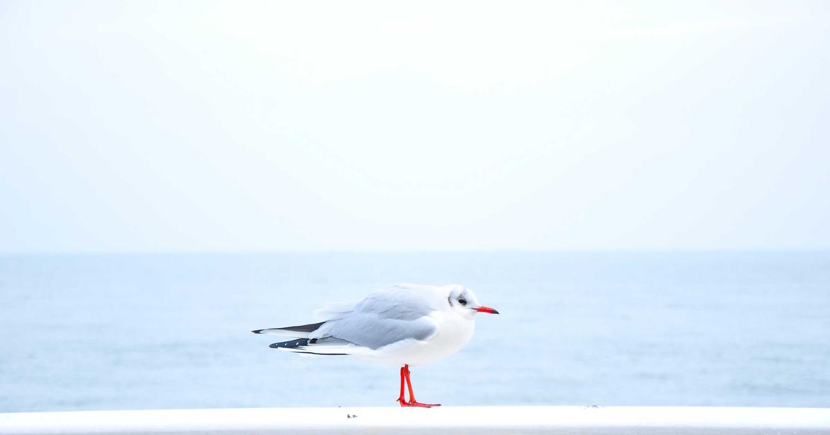 Scaling Load Balancers