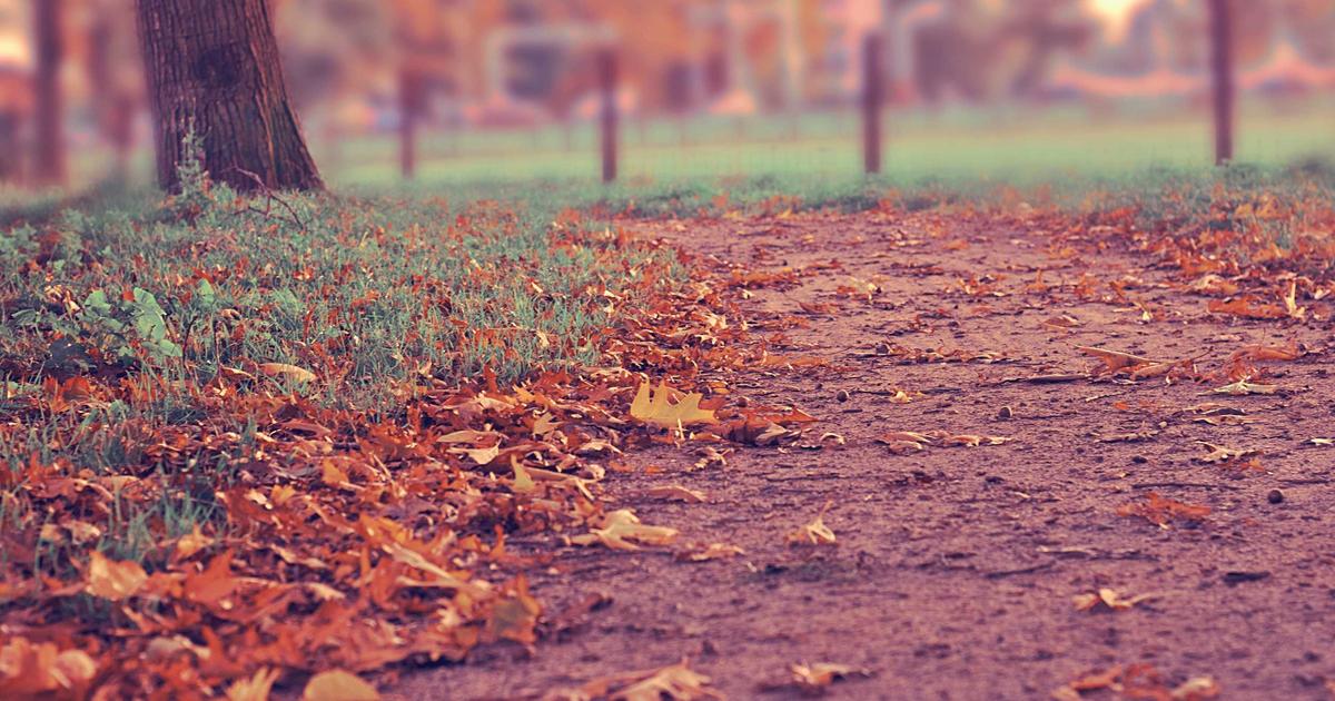 Understanding Server Components