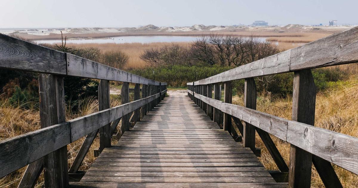 Monitoring Authentication Flows