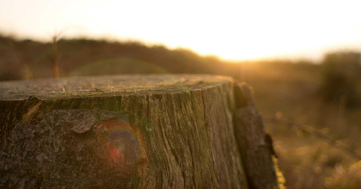 Migrating Dynamic Routes