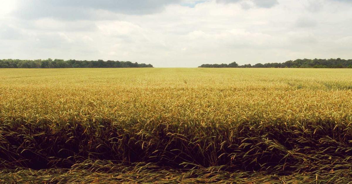 Testing Rolling Deployments