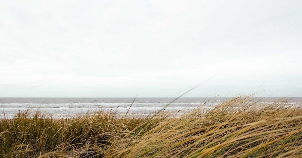 Exploring Reverse Proxies