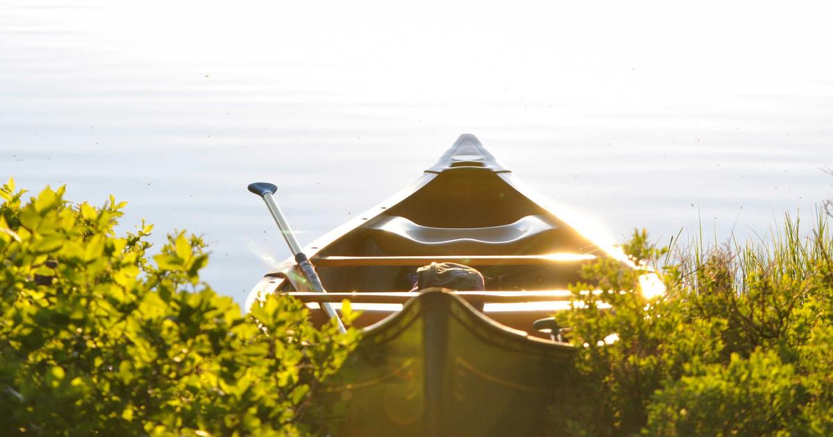 Monitoring Container Orchestration