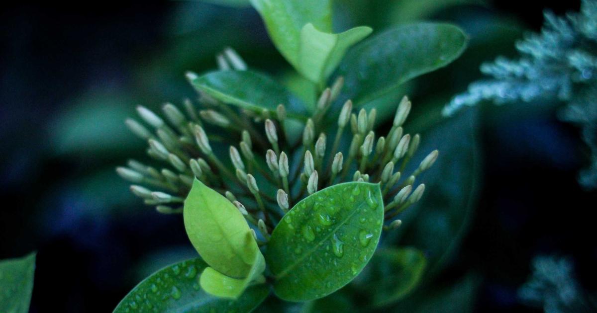 Modern Rate Limiting