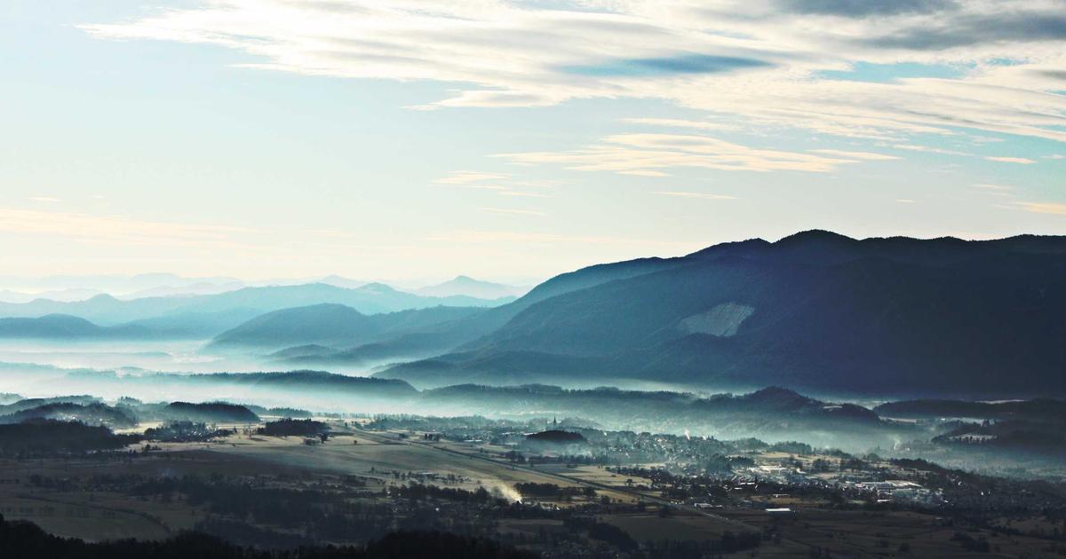 Benchmarking Type Safety