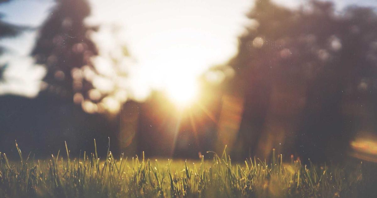 Deep Dive into Dynamic Routes