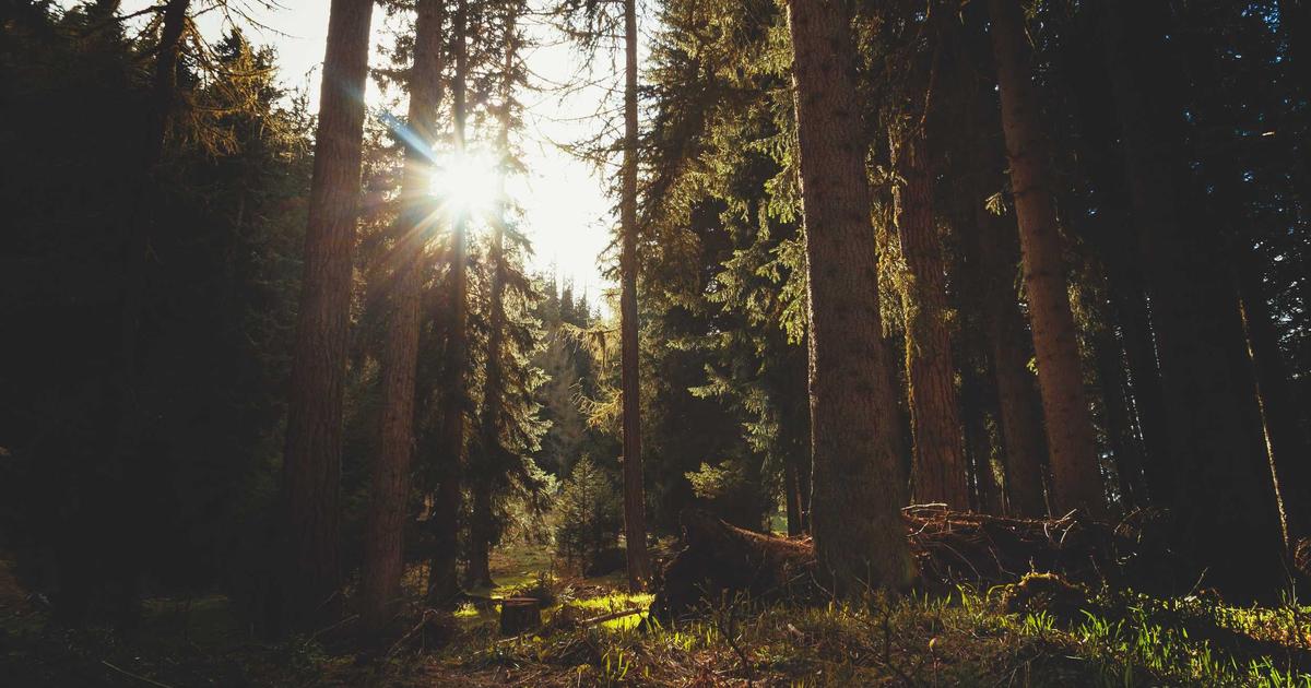 Essential Type Safety