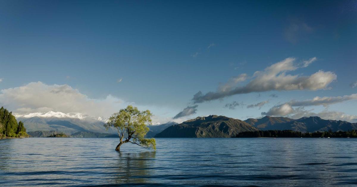 Optimizing Cache Strategies