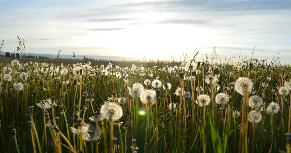 Exploring Blue-Green Deploys