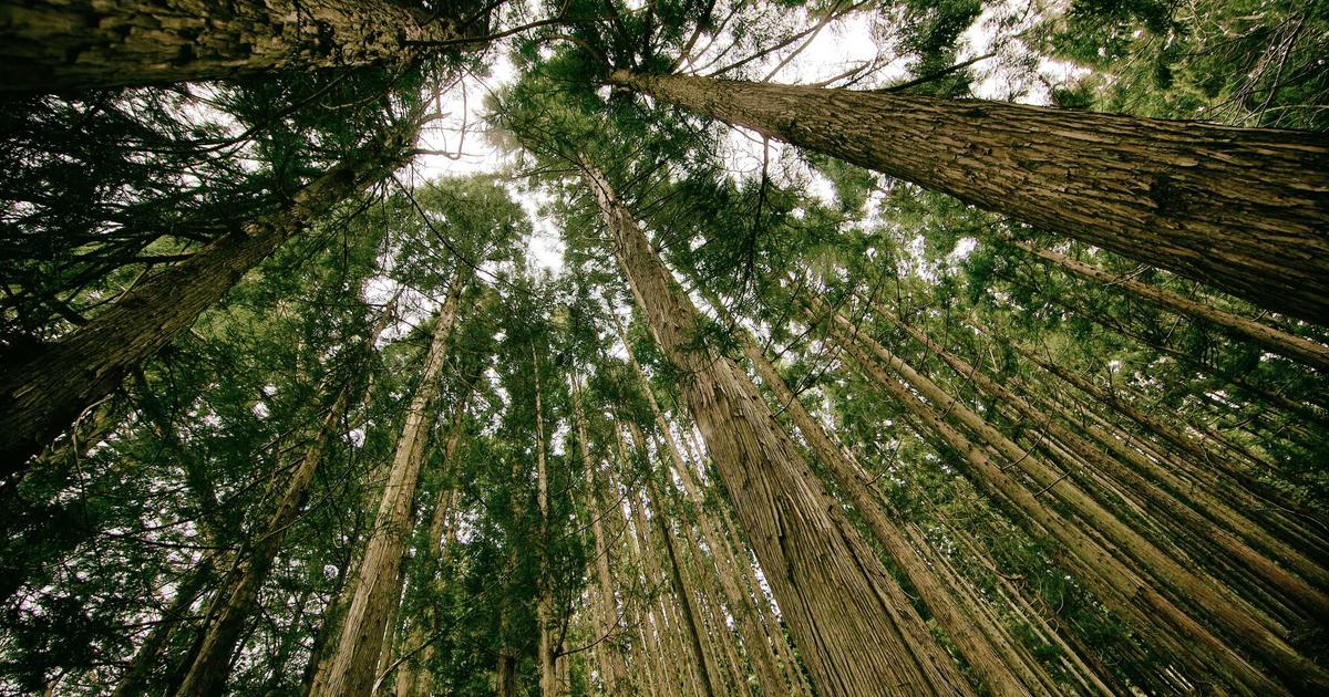 Deep Dive into Type Safety