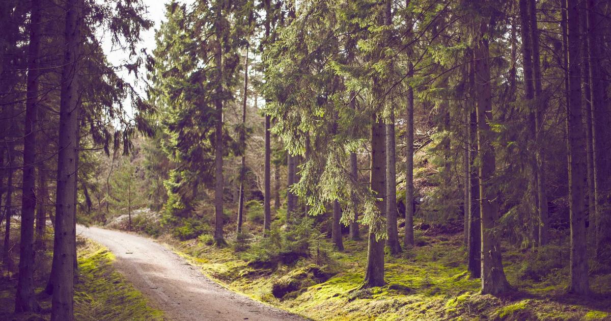 A Guide to Feature Flags