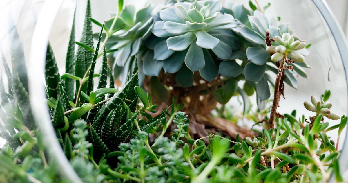 Exploring Connection Pools