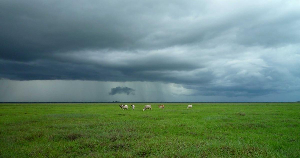 Practical Performance Budgets