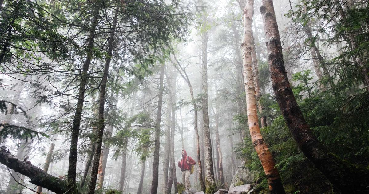 Securing Web Applications