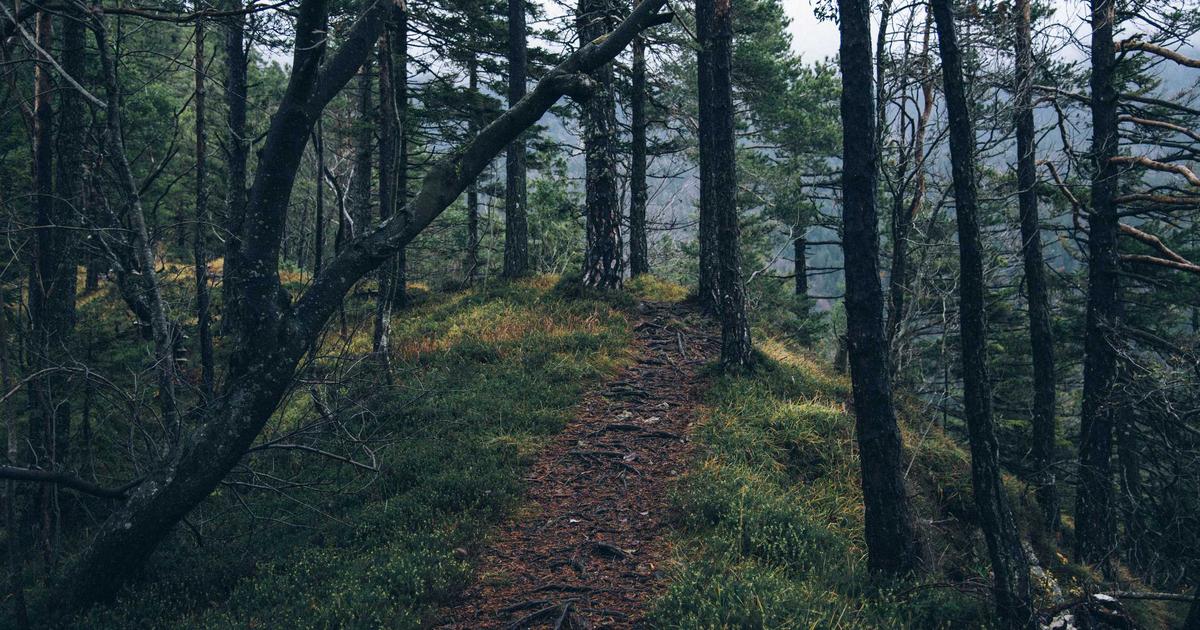 Building Blue-Green Deploys