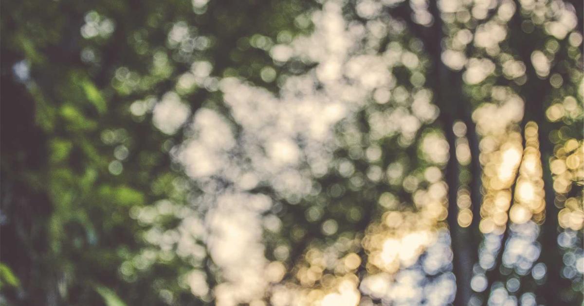 Debugging Cache Strategies