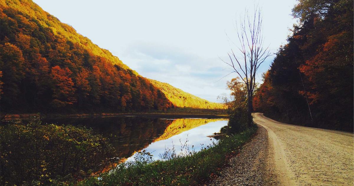 Essential Dynamic Routes