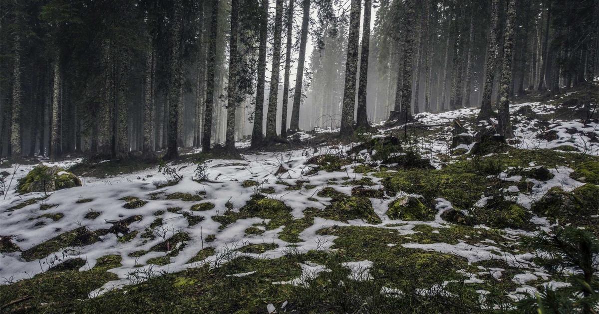 Practical Static Assets