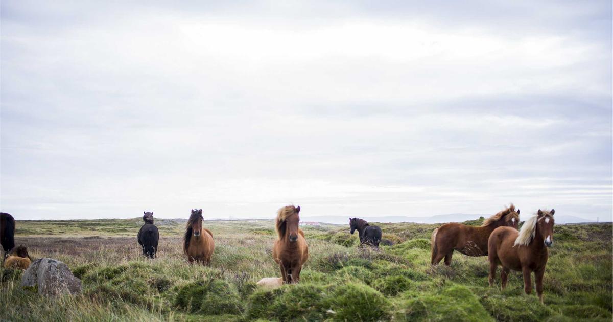 Architecting Database Queries