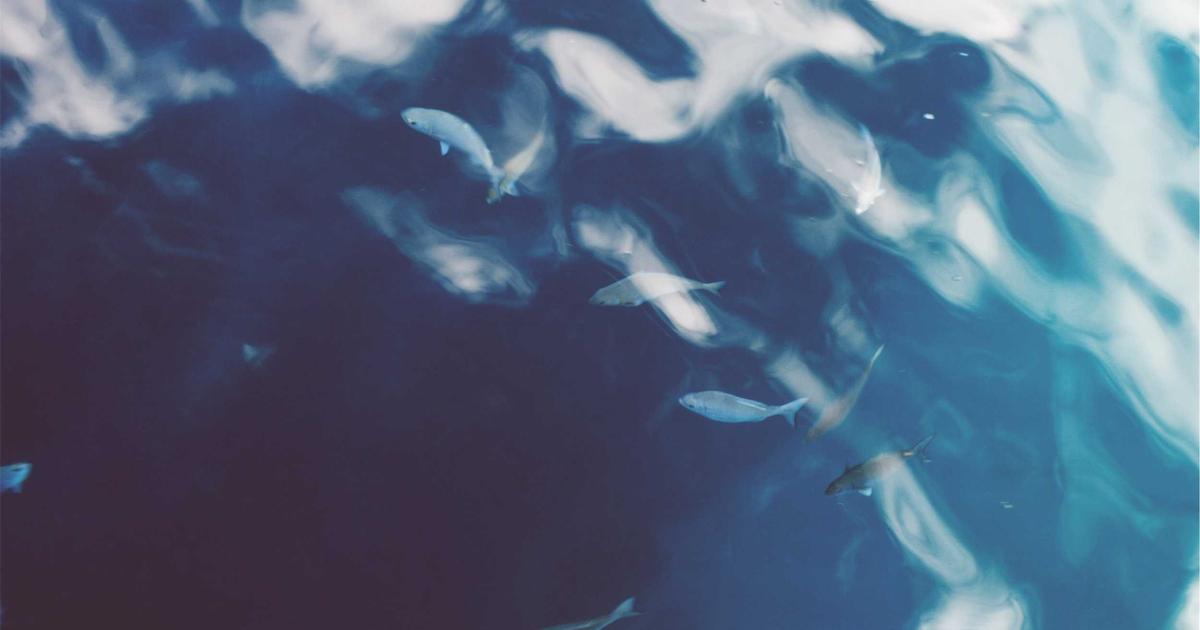 Exploring Dynamic Routes