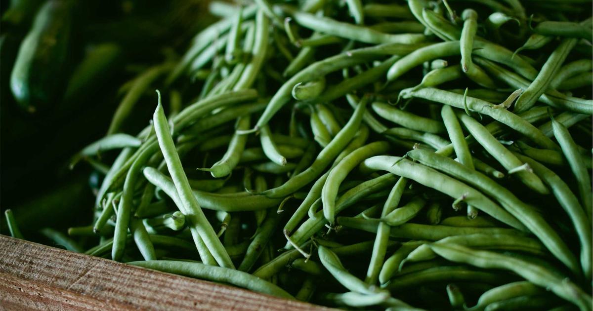 Exploring Image Optimization