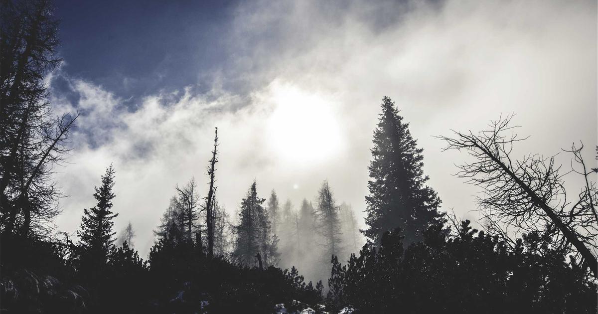 Securing API Endpoints