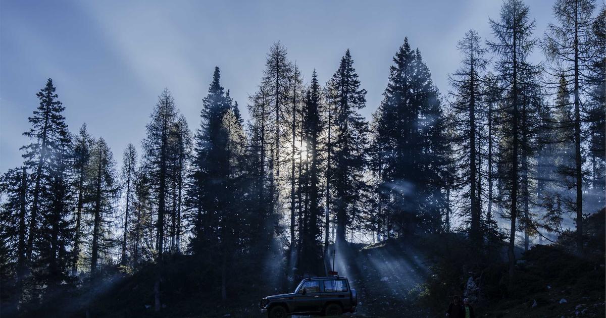 Architecting Database Queries