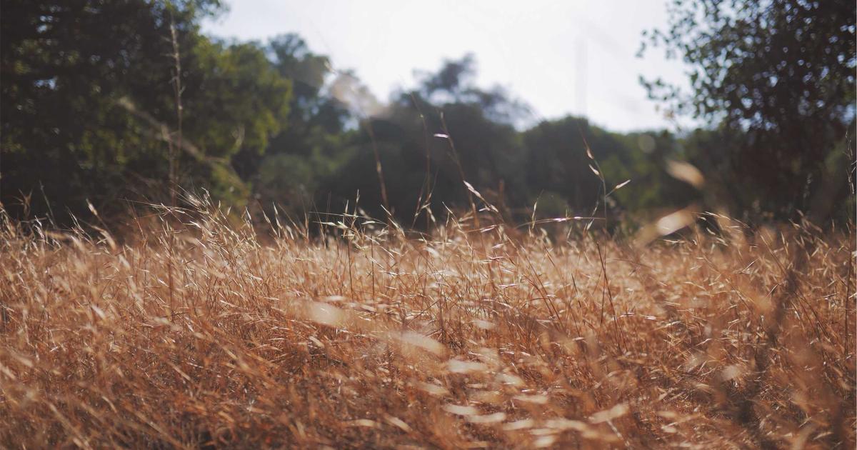 Mastering Load Balancers