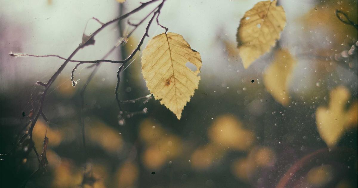 Modern Graceful Shutdowns