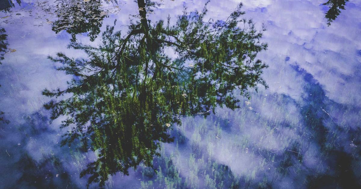 Scaling Dynamic Routes