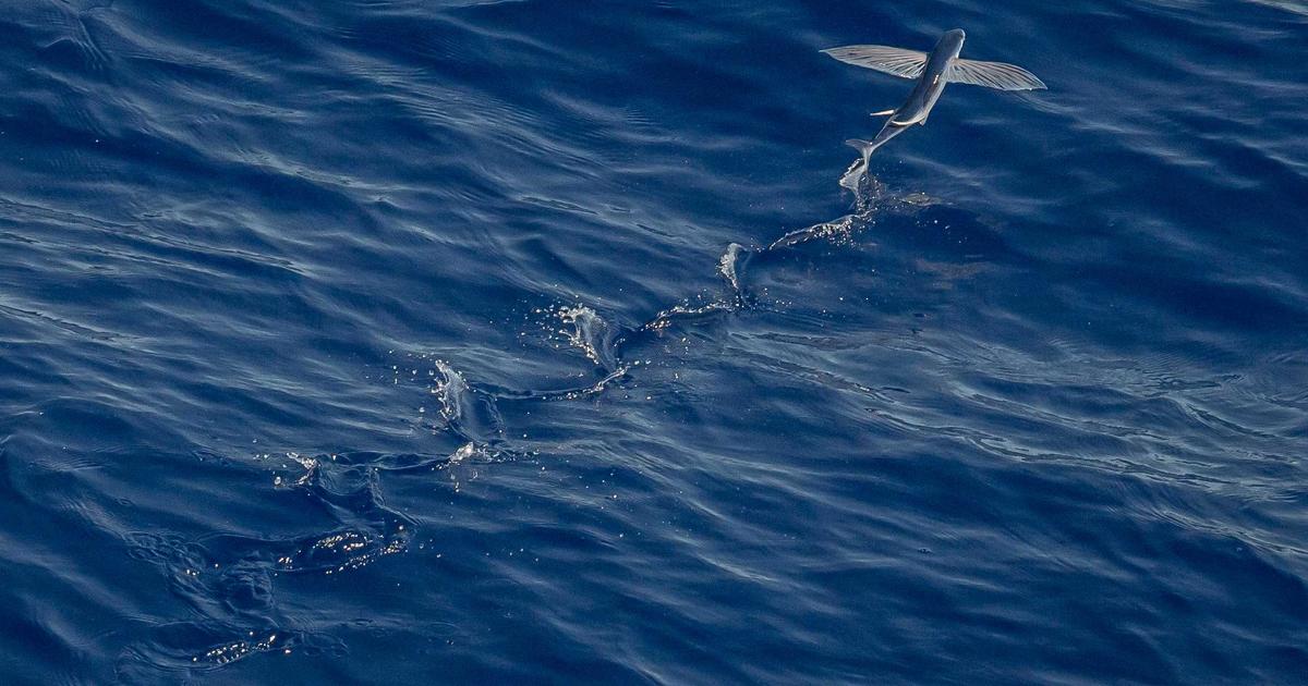 Modern State Management