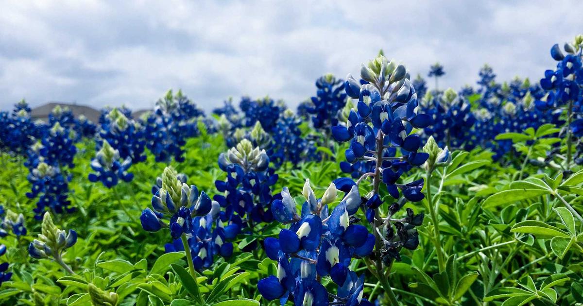 Migrating Dynamic Routes