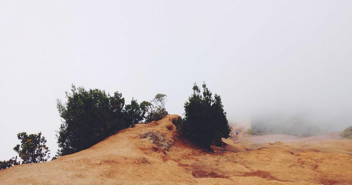 Securing Performance Budgets